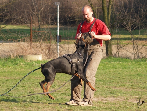 Training 26. 3. 2007